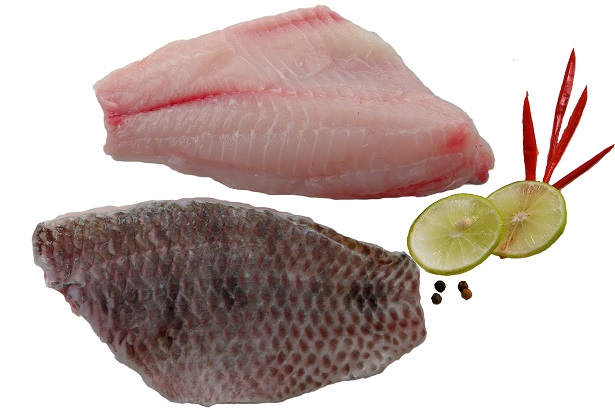 CO Tilapia fillet S/O