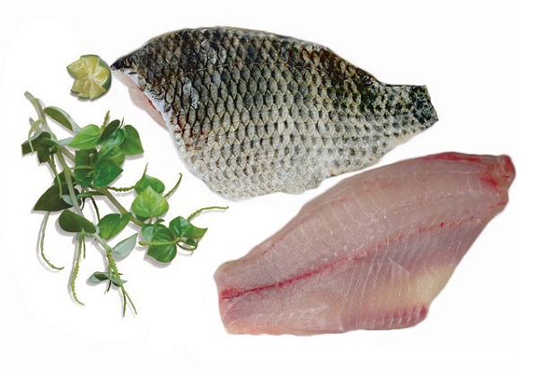 Tilapia fillet S/O
