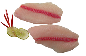 CO Tilapia fillet S/L