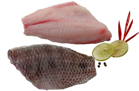 CO Tilapia fillet S/O